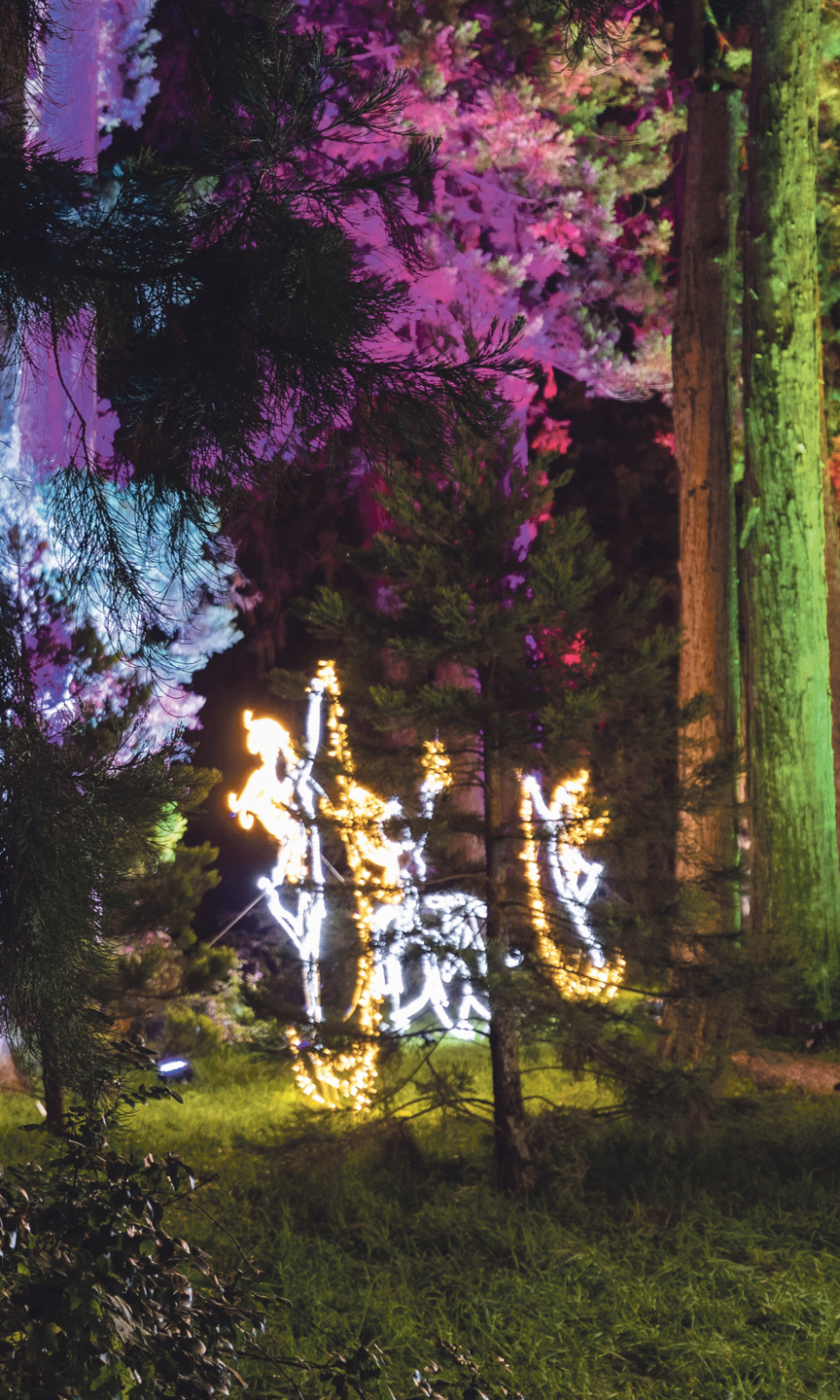 Beleuteter Wald in der Wilhelma