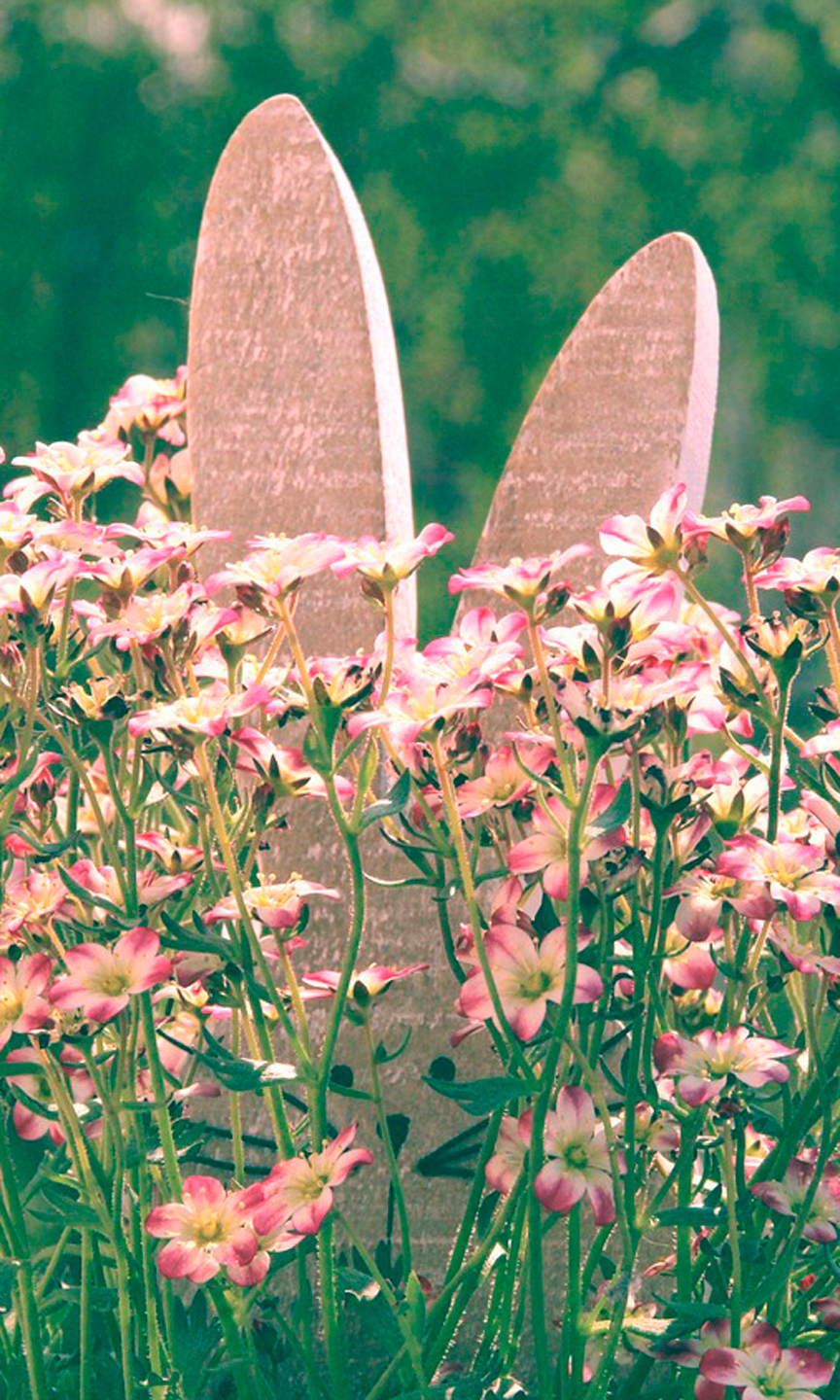 Die Ohren eines Hasen aus Holz ragen aus einem Busch mit rosa Blumen heraus.