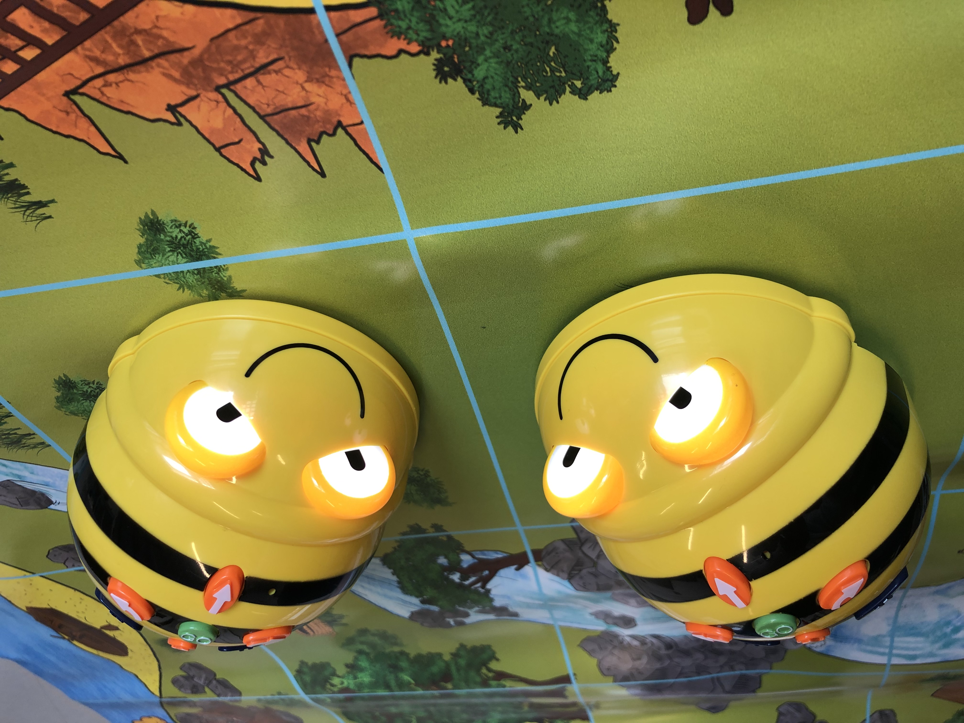 Zwei BeeBots auf einem Spielbrett.