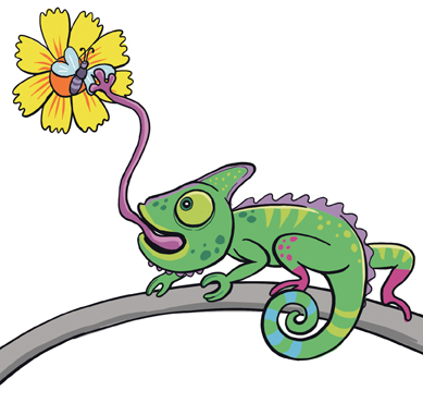 Illustration eines Chamäleons