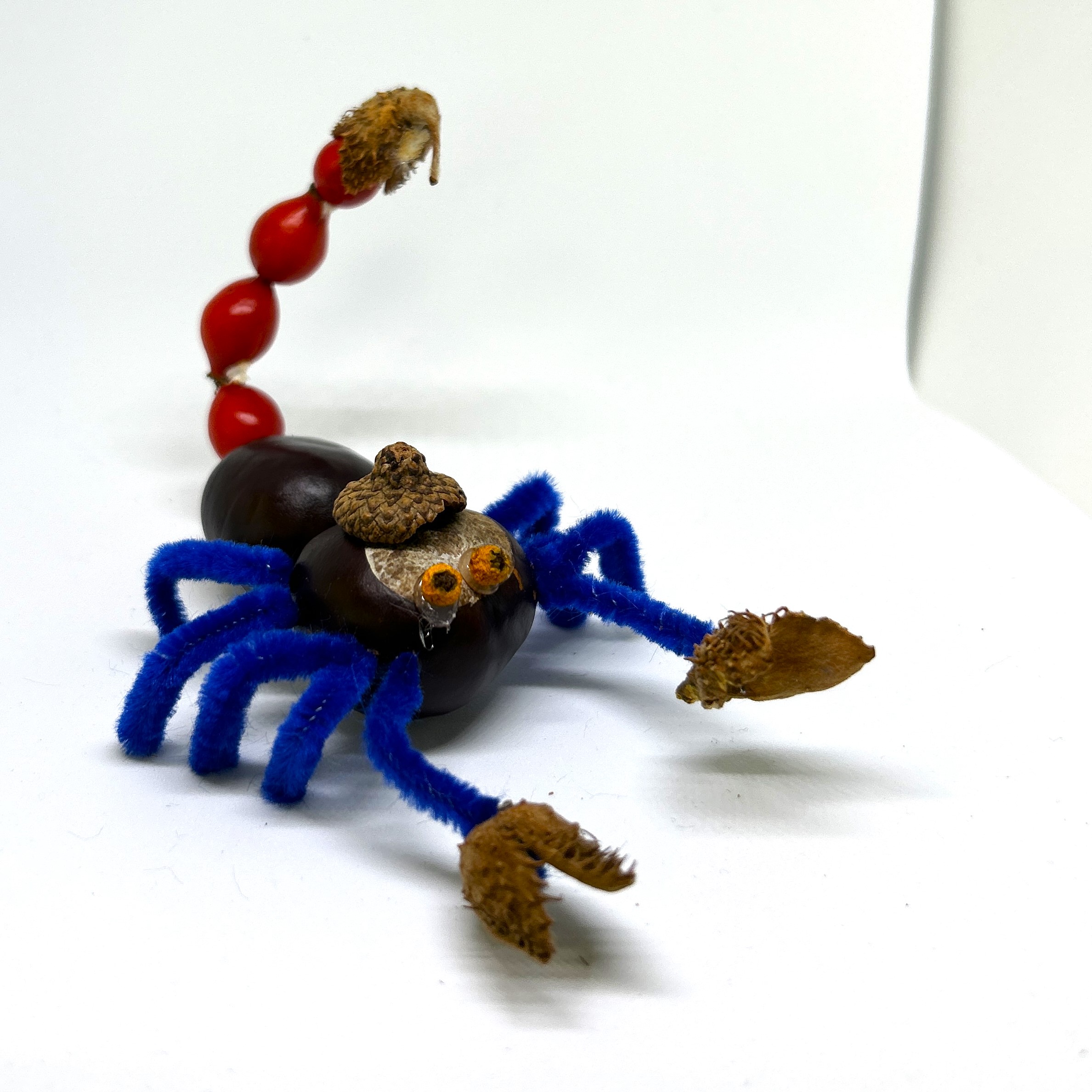 Skorpion aus Naturmaterialien.