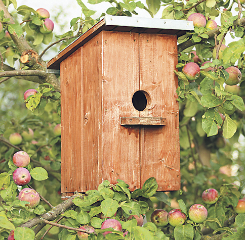 Vogelhaüschen in einem Apfelbaum