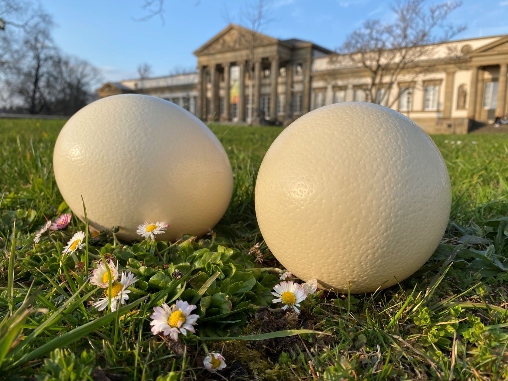 Ostereier vor dem Schloss Rosenstein.