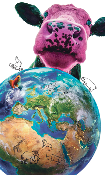 Zeichnung einer Weltkugel. Über die Weltkugel hinweg schaut einen eine lila Kuh an.