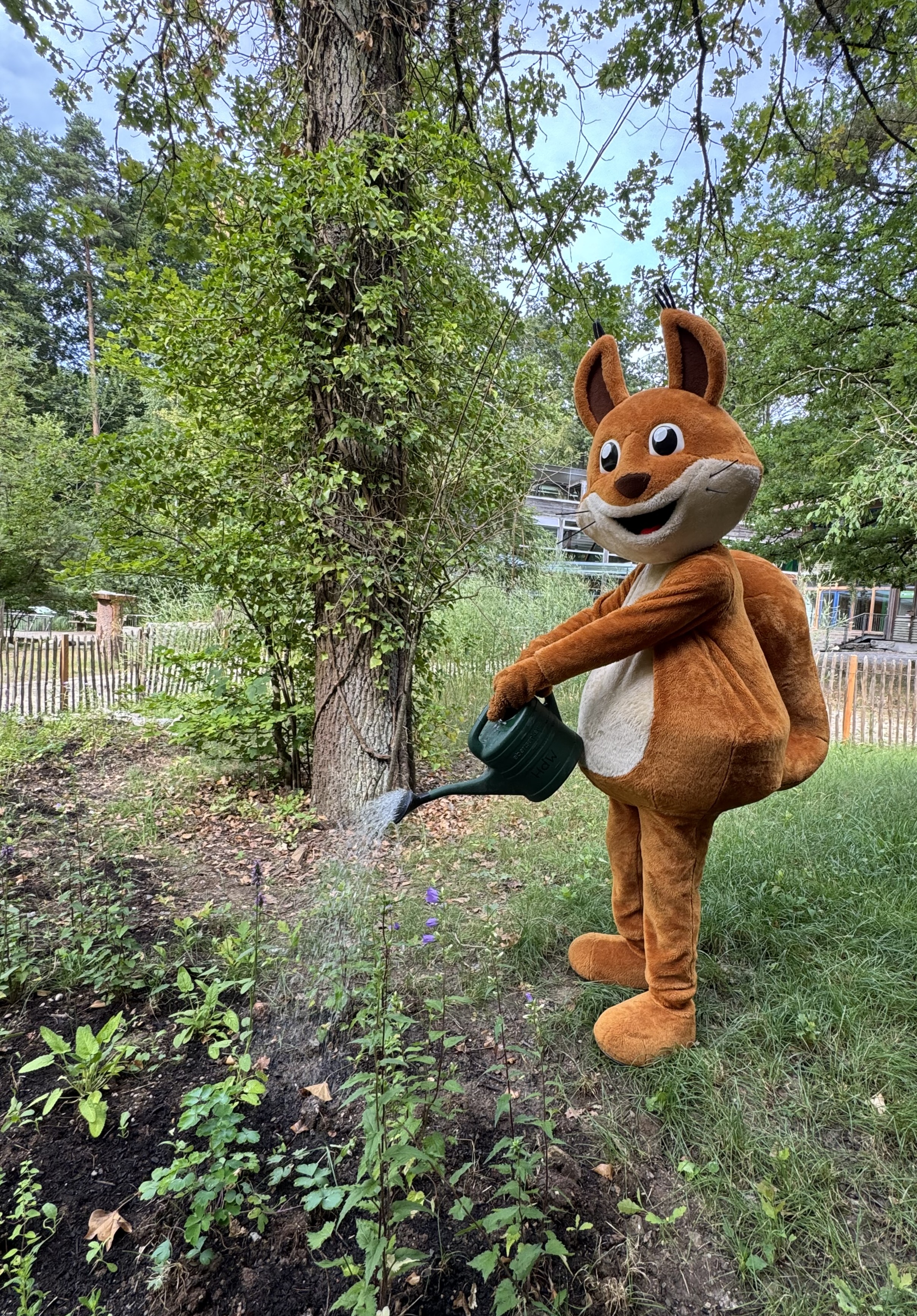 Das Maskottchen Forsti bewässert den Wald.