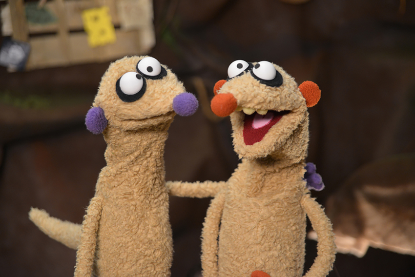 Zwei Erdmännchenpuppen sprechen miteinander