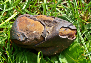Ein Meteorit liegt in Gras.