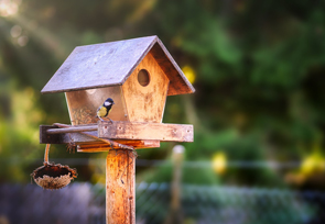 Futterhäuschen für Vögel. Eine Kohlmeise ist darauf.