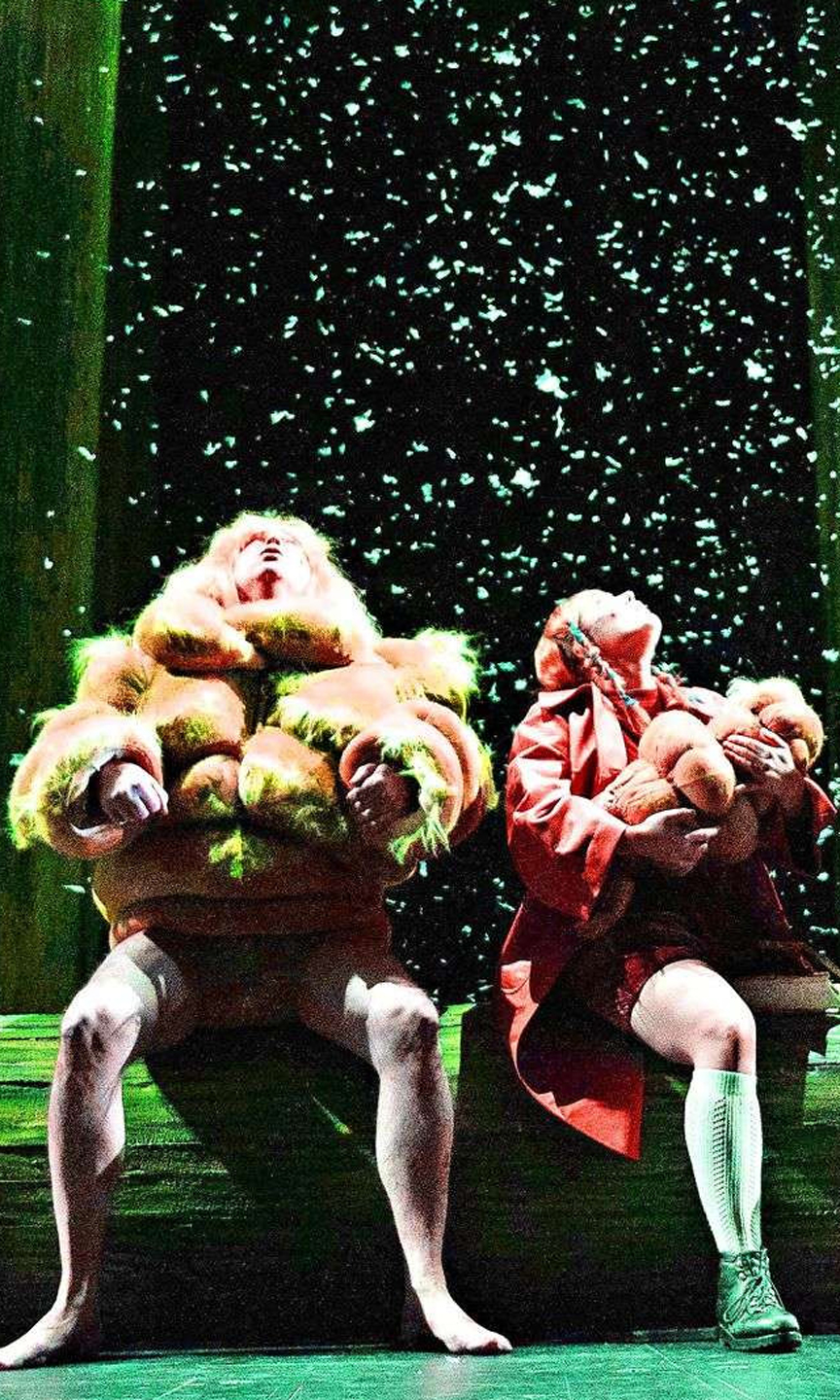 Bühnenbild von Ronja Räubertochter