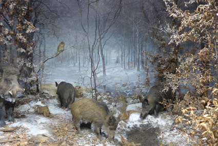 Ausstellungsstück aus dem Museum