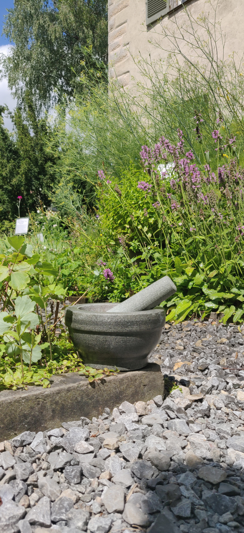 Schüssel mit Mörser im Kräutergarten