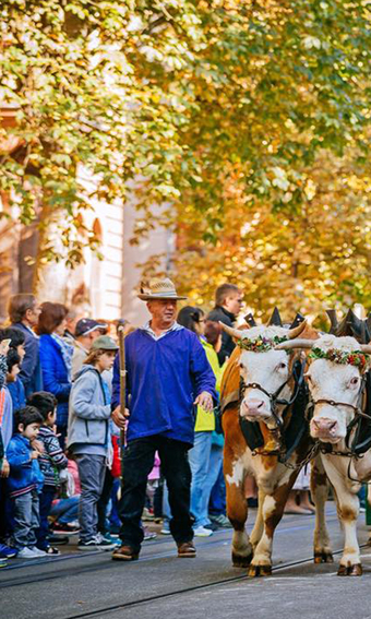 Tiere und Menschen in historischen Gewändern