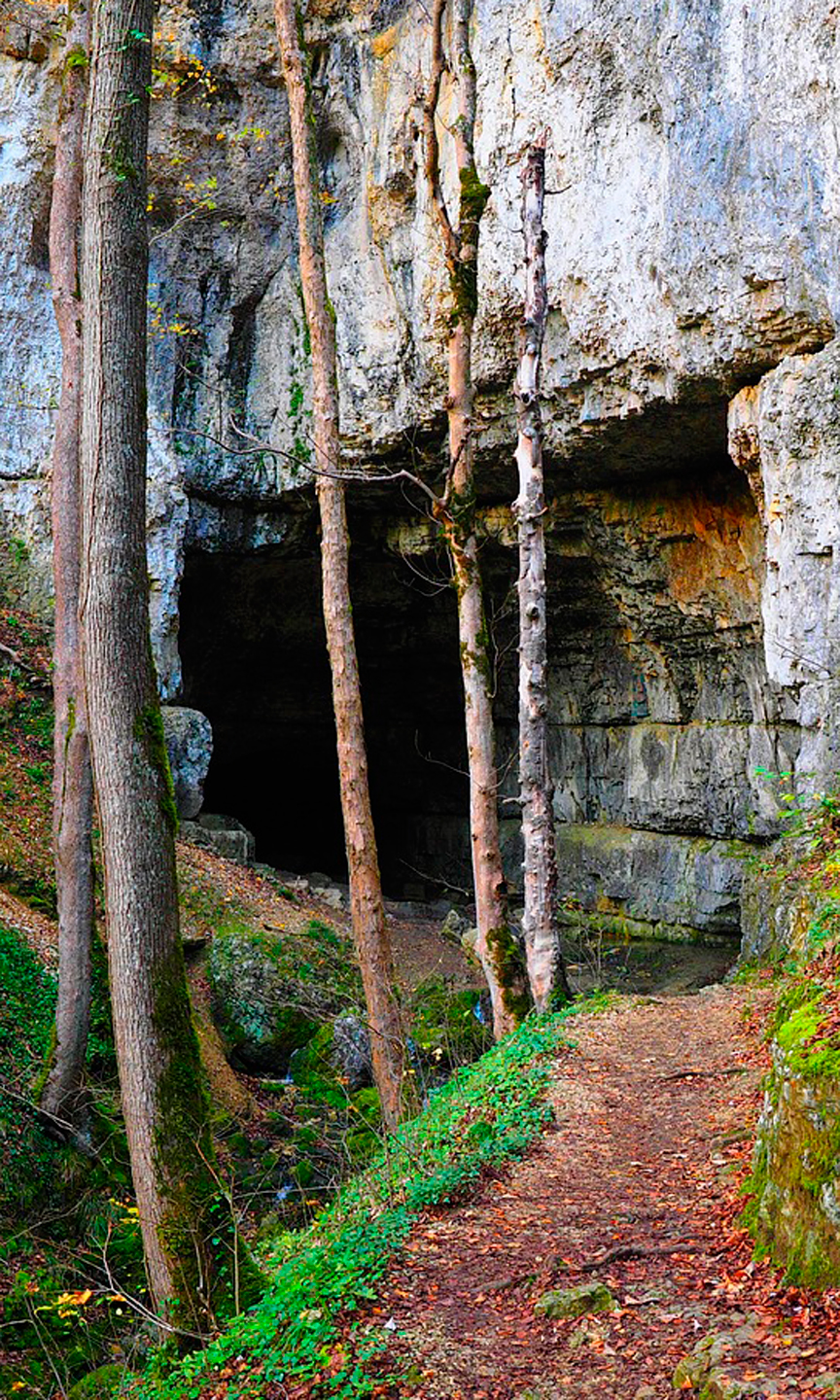Frontansicht der Falkensteiner Höhle