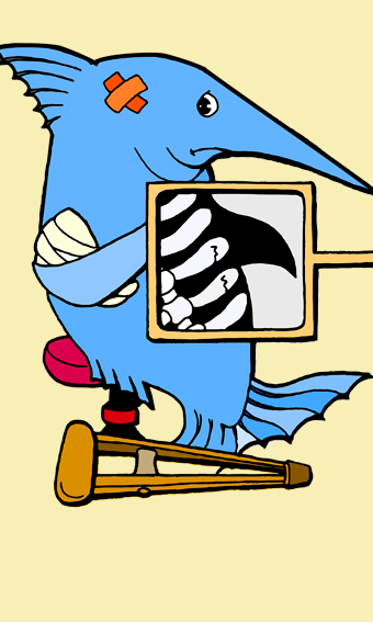 Zeichnung eines Hais, der verschiedene Verletzungen hat.