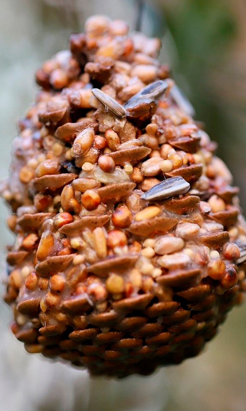 Futterglocke aus Körnern und Samen für Vögel.