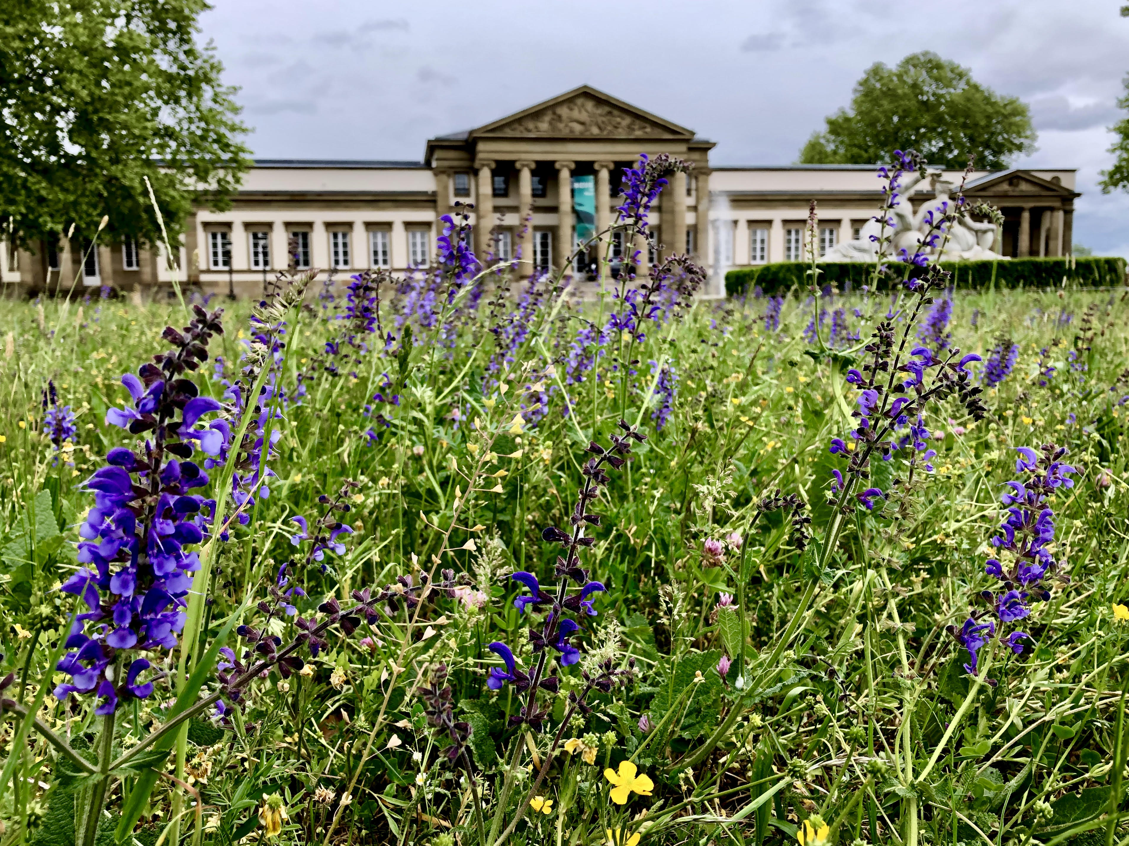 Rosensteinmuseum im Hintergrund, Blumenbeet im Vordergrund.