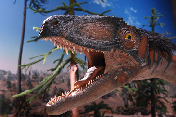 Ausstellungsstück aus dem Museum