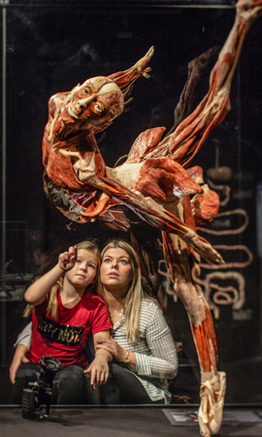 Mutter und Tochter betrachten das Plastinat einer Ballett-Tänzerin.