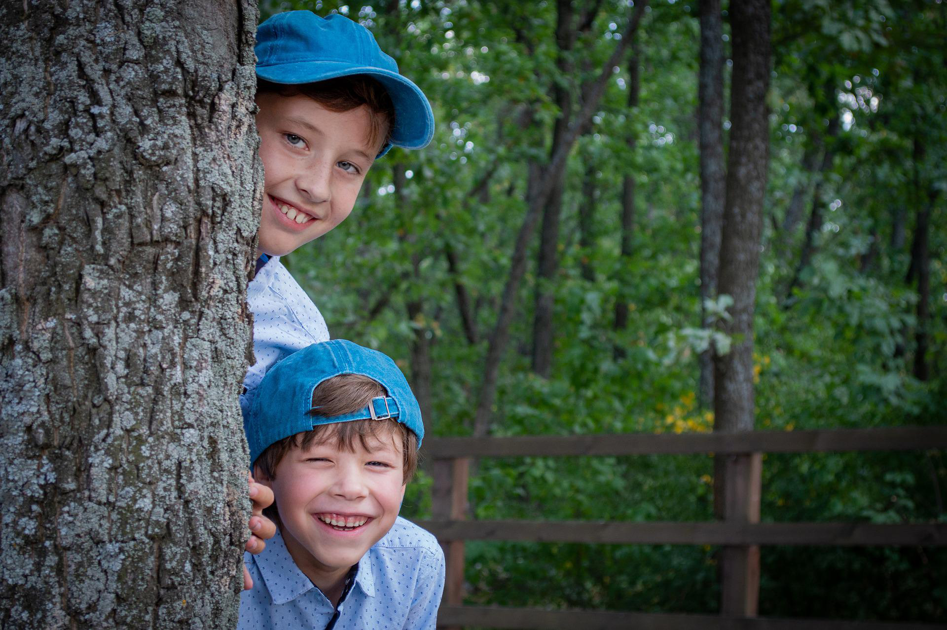 2 Jungen im Wald blicken hinter einem Baum hervor