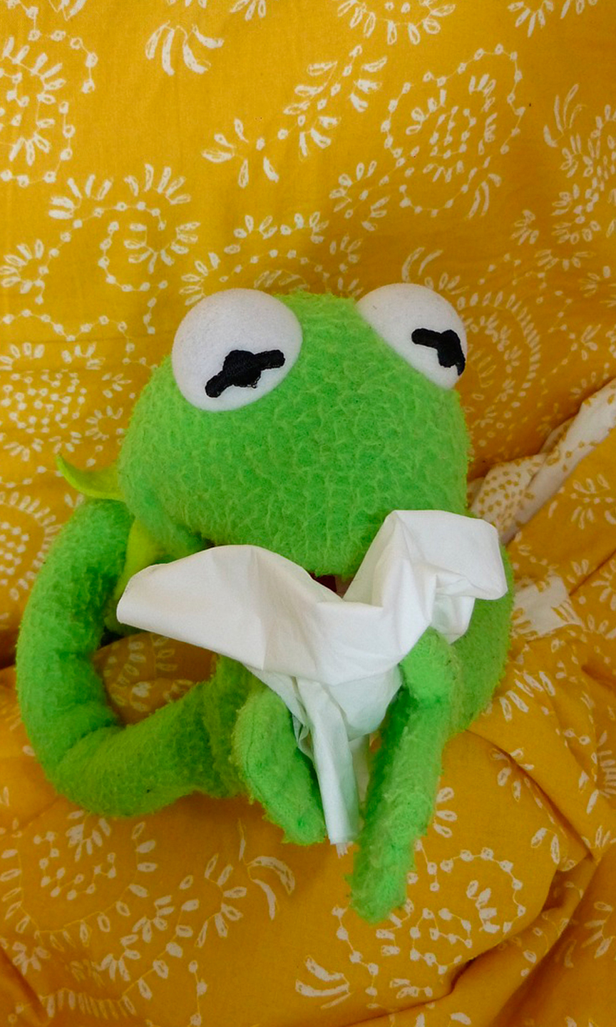 Eine Froschpuppe putzt sich die Nase.