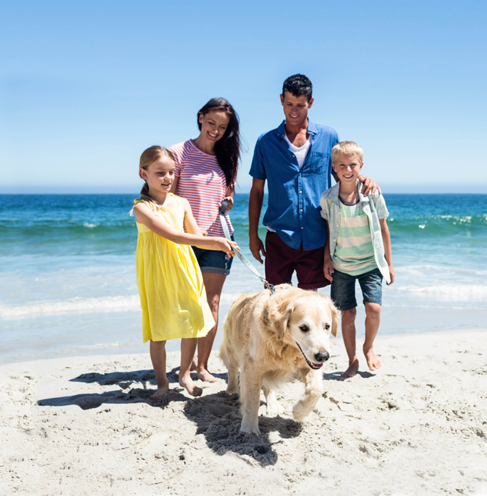 Familei mit Hund am Strand