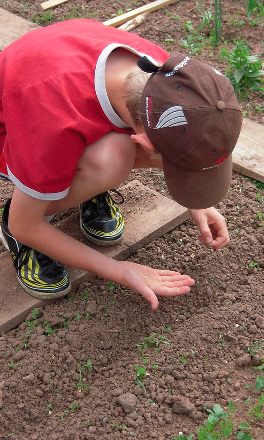Kind kniet in einem Beet und sät Samen aus.