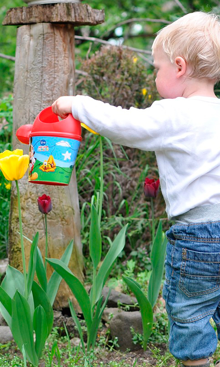 Kleines Kind steht in einem Garten und gießt mit einer bunten Gießkanne die Blumen.