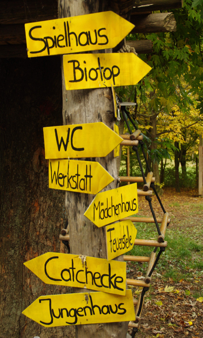 Baum an dem gelbe Wegweiserschilder hängen.