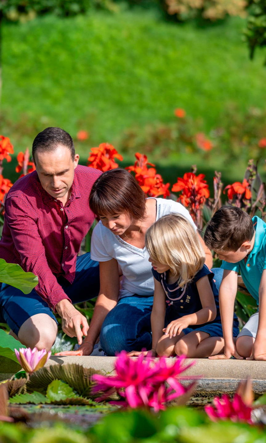 Eine Familie mit zwei Kindern kniet am Seerosenteich.