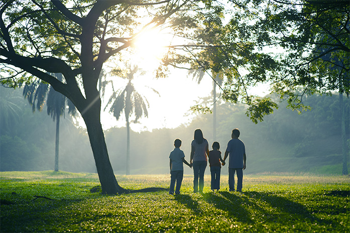 Familie mit zwei Kindern Hand in Hand auf einer Wiese