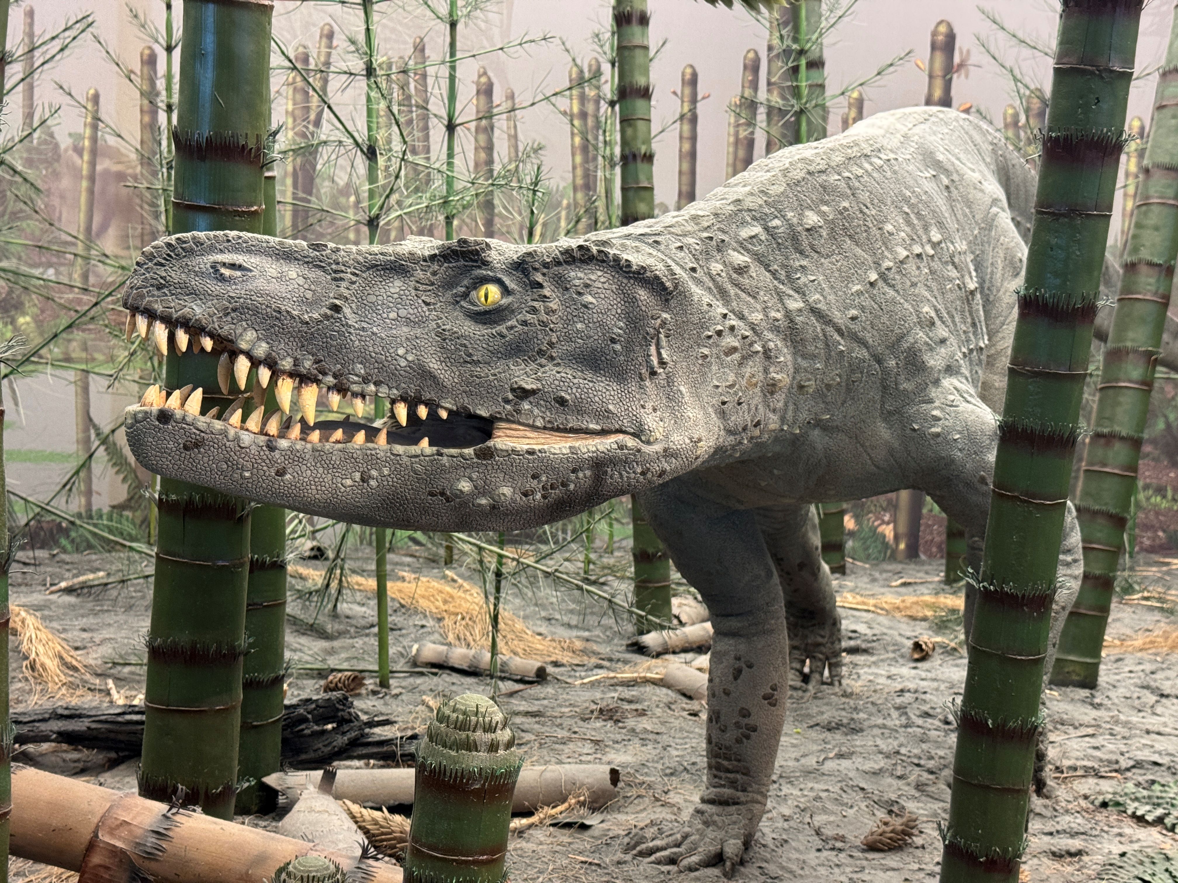 Ausstellungsstück aus dem Museum