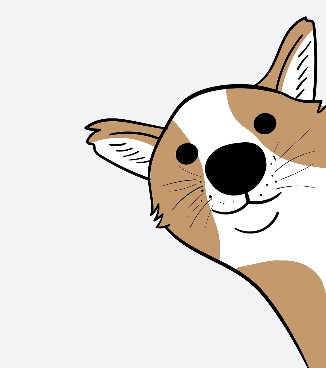 Illustration eines Shiba-Inu.