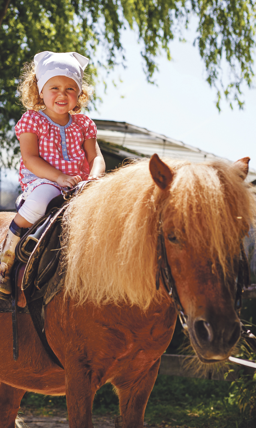 Kleines Mädchen sitzt auf einem Pferd.