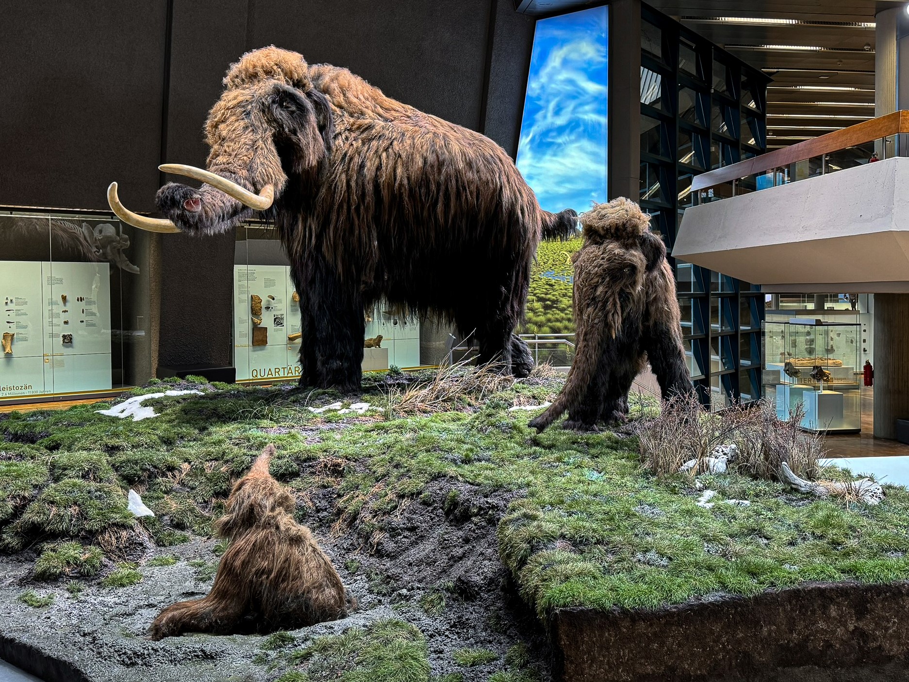 Steppe mit präparierten Mammuts